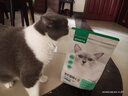 网易严选全价猫粮成幼猫主粮三文鱼亮毛深海鱼虾味1.8kg 【宠物金选】 实拍图