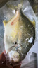 1号会员店（One's Member）甄选海南二去金鲳鱼 700g/2条装 去鳃去内脏 生鲜 鱼类 海鲜水产  实拍图