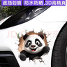智骋汽车贴纸划痕遮挡遮盖贴画车身保险杠车门电动摩托车卡通个性创意 实拍图