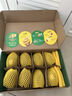 佳沛（zespri）新西兰阳光金奇异果 8个装 特大果单果重约124-146g 水果猕猴桃 实拍图