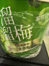 溜溜梅青梅分享桶460g西梅雪梅脆青梅果冻健康休闲零食团购礼包 实拍图