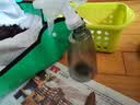 漫生活换土地垫园艺种花种植拌土垫子接雨水收雨水神器阳台窗户66*66cm 实拍图