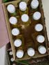 农夫山泉东方树叶绿茶500ml*15瓶无糖茶饮料0糖0脂0卡整箱装饮品 实拍图