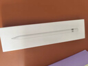 Apple/苹果 Pencil(第一代) 带USB-C转换器 触控笔手写笔苹果笔电容笔 适用部分iPad(A16)/Pro/Air机型 实拍图