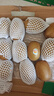 佳沛（zespri）新西兰阳光金奇异果巨大果15粒礼盒 单果146-175g 猕猴桃水果礼盒 实拍图