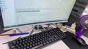 华硕【14代酷睿 i5 i7】台式电脑主机台式机整机独显商务办公大额补贴组装Diy电脑 套二 i5/16G/628G/HD显卡+24英寸 实拍图