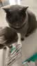 凯锐思猫条猫零食 猫条鱼肉条0添加0诱食剂湿粮混合口味猫咪零食 【鱼油爆珠】美毛助消化100条 实拍图