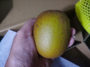佳沛（zespri）新西兰阳光金奇异果 8个装 超大果单果重约175-204g 猕猴桃水果 实拍图
