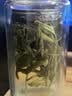 贡苑绿茶 白茶安吉茶叶250g 明前2026新茶珍稀绿茶高山春茶散装自己喝 实拍图