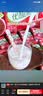 伊利【时代少年团同款】优酸乳车厘子味250ml*24盒 乳饮料牛奶饮品 实拍图