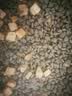 麦富迪猫粮 超肉粒冻干双拼成猫粮美毛护肠三文鱼10kg/20斤【宠物金选】 实拍图