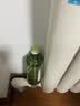 半亩花田山茶花洁面慕斯氨基酸洗面奶清洁敏感肌青少年懒羊羊联名儿童礼物 实拍图