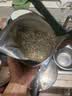 西麦有机胚芽燕麦片400g 袋装 高蛋白质营养早餐0添加蔗糖营养早餐 实拍图