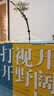 国际大奖小说·注音版（20册）礼盒装赠书签和阅读打卡表：含亲爱的汉修先生、飞吧红头发、云朵工厂等课外阅读推荐图书，荣获国际安徒生奖、纽伯瑞儿童文学奖、林格伦纪念奖等 课外阅读 阅读 课外书省钱卡 实拍图