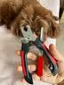 HELLOJOY宠物猫狗指甲剪狗指甲钳猫咪用指甲剪新手专用指甲刀钳磨甲器 实拍图