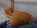 名创优品（MINISO）柴犬系列趴姿抱枕办公室卧室午睡枕客厅沙发靠枕生日七夕节礼物 实拍图