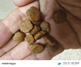 伯纳天纯狗粮中大型犬全价成年犬粮17kg羊肉蔓越莓味囤货装 实拍图
