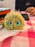 Fuzozo芙崽AI陪伴毛绒情感智能五行木电子宠物礼物送1月SVIP 实拍图