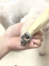 雪貂留香宠物电推剪狗狗猫咪剃毛器脚毛修剪理发器全身推毛器 实拍图