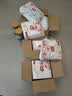 好奇（Huggies）皇家小龙裤拉拉裤XXL56片(15kg以上)尿不湿【柔吸防漏王】 实拍图