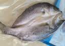 仙泉湖三去白蕉海鲈鱼1斤/条净膛刺少肉厚珠海特产500g海鲜水产生鲜食材 实拍图