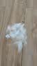 富美内特（FURminator）梳子猫咪去浮毛底绒梳开结梳猫毛梳美短英短暹罗美毛短毛猫大号 实拍图