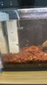 森森 小鲤鱼缸过滤器净水循环三合一内置水族箱过滤系统XQP-500F 6W 实拍图