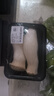 杏鲍菇约250g 实拍图