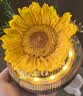 Para Ella向日葵永生花生日礼物女结婚纪念日送老婆闺蜜实用走心高档订婚 实拍图