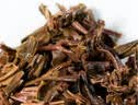 大益TAETEA普洱茶生茶4年陈化7542饼茶200g盒装 经典标杆口粮茶 实拍图