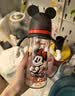 贝亲（Pigeon）PPSU双把手迪士尼赛车奶瓶330ml L号奶嘴 极速米奇 6月+ AA287 实拍图