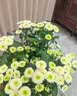 超威电热蚊香液 定时三档智能加热器无味卧室补充液家用驱蚊器 2瓶1器 实拍图