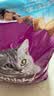 伟嘉成猫猫粮3.6kg海洋鱼味布偶夹心粮【原料透明】 实拍图
