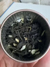 佰儒茉莉花茶茉莉大白毫2026新茶叶绿茶春茶泡水自己喝口粮茶送礼250g 实拍图