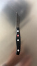 双立人（ZWILLING）Pollux不锈钢水果刀小刀蔬果刀削皮刀一体钢厨房家用刀具8cm 实拍图