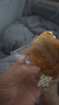 三只松鼠0蔗糖手撕面包1000g/箱 早餐小面包代餐饱腹零食酵母面包 实拍图
