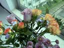 悦多彩 包月鲜花花束 每周一花 云南基地直发 闺蜜老师生日礼物 自然混合设计款（4-5种花材） 单次体验款1束-（无花瓶） 实拍图
