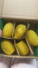 佳沛（zespri）新西兰阳光金奇异果 8个装 特大果单果重约124-146g 水果猕猴桃 实拍图