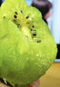 佳沛（zespri）绿奇异果 优选大果12粒单果约115-135g  水果 猕猴桃 实拍图