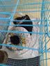 憨憨宠猫笼折叠猫笼子大号猫别墅加粗加密双层猫舍猫窝宠物猫咪用品家用 蓝色 700双层 实拍图