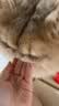 唯特医生宠物辅酶q10狗狗猫咪添【兔血】护心补血冻干心脏肥大养护175粒 实拍图