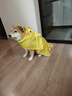 欢宠网狗狗雨衣全包四脚宠物狗小狗大型犬柯基雨披雨天遛狗防水防湿护肚 实拍图
