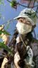 迪卡侬trek100徒步裤男夏季速干裤工装裤户外软壳登山裤-5165113 实拍图