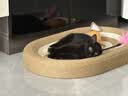 憨憨宠猫笼折叠猫笼子大号猫别墅加粗加密双层猫舍猫窝宠物猫咪用品家用 黑色 600双层 实拍图