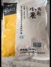 俭禾【朝阳特产】朝阳地标一级黄小米新米黄小米月子米宝宝辅食粗粮 【家庭装】朝阳小米 5斤｜当季新米 实拍图