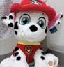 汪汪队立大功（PAW PATROL）毛绒玩具狗狗玩偶经典款天天小号坐姿公仔男女孩儿童生日礼物 实拍图
