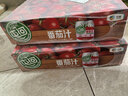 屯河内蒙新疆番茄汁0添加剂不添加蔗糖轻食果蔬汁饮料营养西红柿果汁 250mL*24罐 【整箱】 实拍图