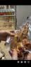美的（Midea）真空封口袋家用商用干湿两用加厚食品级压缩袋食品保鲜袋密封袋子小号 ZKDS 实拍图