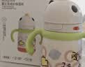 babycare儿童保温杯婴儿宝宝学饮杯吸管水杯水壶不锈钢300ml-新旧款混发 实拍图