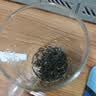 京东京造【2026新茶】明前信阳毛尖250g地标茶叶绿茶春茶自己喝自营性价比 实拍图